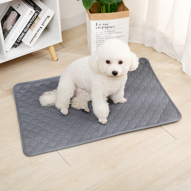 แผ่นรองซับฉี่สุนัขแบบใช้ซ้ำได้ - Mattress Protector Waterproof บทวิจารณ์และราคา